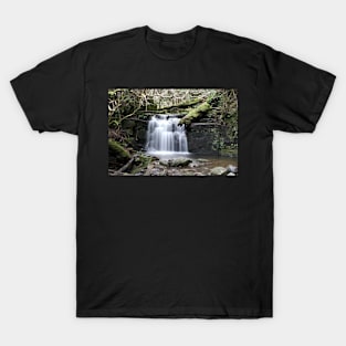 Strickland Falls T-Shirt